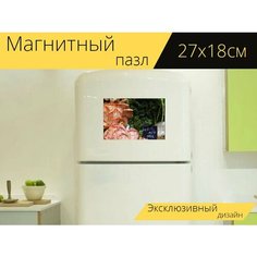 Магнитный пазл "Грибы, вешенки, рынок" на холодильник 27 x 18 см. Lots Prints