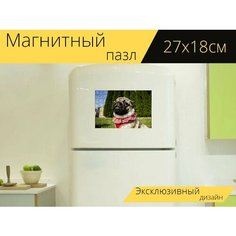 Магнитный пазл "Мопс, портрет, милый" на холодильник 27 x 18 см. Lots Prints