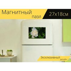 Магнитный пазл "Розовый, бьянка, зеленый" на холодильник 27 x 18 см. Lots Prints