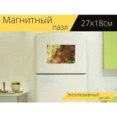 Магнитный пазл "Лошадь, голова, лошадиная голова" на холодильник 27 x 18 см. Lots Prints