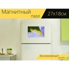 Магнитный пазл "Ирис, цветок, пестики" на холодильник 27 x 18 см. Lots Prints