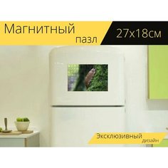 Магнитный пазл "Голожаберный, улитка, мох" на холодильник 27 x 18 см. Lots Prints