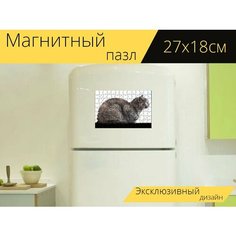 Магнитный пазл "Кот, вид сбоку, млекопитающее" на холодильник 27 x 18 см. Lots Prints