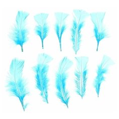 Набор перьев для декора 10 шт, размер 1 шт: 10 × 4 см, цвет голубой Noname