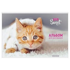 Альбом для рисования ArtSpace Питомцы Pretty sweet 29.7 х 21 см (A4), 100 г/м², 24 л.