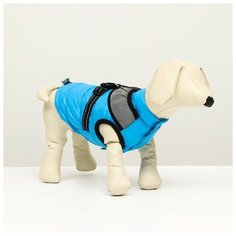Куртка для собак со светоотражающей шлейкой, размер 16 (ДС 36, ОГ 46, ОШ 35), голубая NO Name