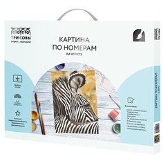 ТРИ СОВЫ картина по номерам Зебра, 50 х 40 см, разноцветный