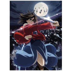 Картина по номерам на холсте Аниме Граница пустоты Сад грешников - 3 30X40