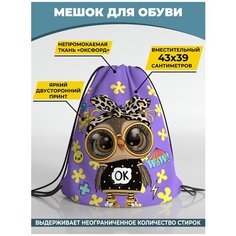 Мешок для сменной обуви Homepick 39х43 см SovaWow/31148/