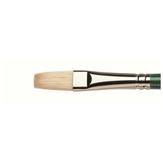 Кисть для масла, Winsor&Newton Winton, свиная щетина, длинная обойма, плоская, № 8