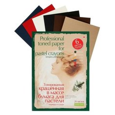 Альт Папка для пастели А4, 20 листов "Профессиональная серия", блок 6 цветов, 150-230 г/м2