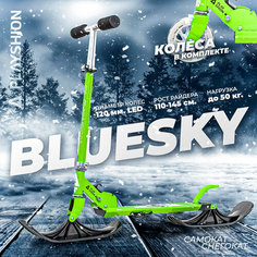 Самокат-снегокат Playshoin Bluesky, Raccoon Playshion