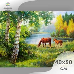 Алмазная мозаика Ah5341 Русское поле 40х50 40 х 50 см Алмазное хобби Ah5341
