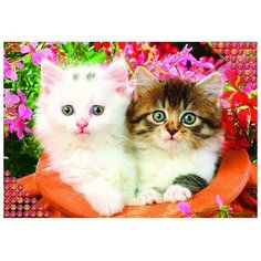 Алмазная мозаика с полным заполнением «Котята», 22х32 см Школа талантов