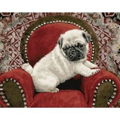 Картина по номерам Мопс на своем троне 40х50 см 000 Art Hobby Home