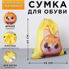 Сумка болоньевая для обуви «Давай дружить», 33х43х0,5 см Art Fox