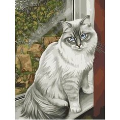 Картина по номерам Домашний кот 40х50 см Hobby Home