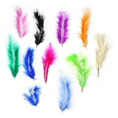 Набор перьев для декора, набор 10 шт, размер 1 шт: 10×2 см, цвета микс Noname