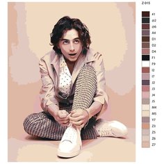 Картина по номерам Z915 "Тимоти Шаламе " 60x80 Brushes Paints