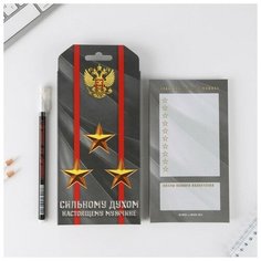 Подарочный набор «Сильному духом. Настоящему мужчине»: планинг 50 листов и ручка пластик Art Fox