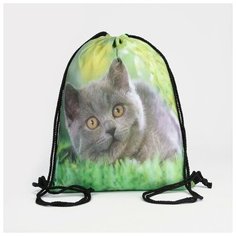 Мешок для обуви на шнурке, цвет зелёный Без бренда