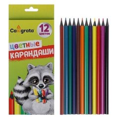 Карандаши цветные заточенные, 12 цветов, в картонной коробке Calligrata