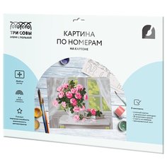 ТРИ СОВЫ картина по номерам Нежные розы, 30 х 40 см, разноцветный