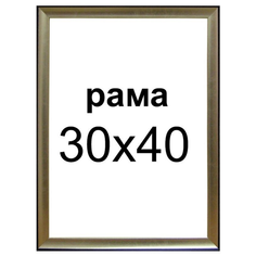 Рама 30х40 для картины холста зеркала рамка для фото вышивки подрамника алмазной мозаики портрета 30 на 40 панно иконы постера Декарт
