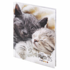 Блокнот малый формат (103х146 мм), А6, 80 л, твёрдый, клетка, STAFF, "Котики", 114439