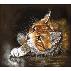 Картина по номерам Рыжий кот 40х50 см Hobby Home