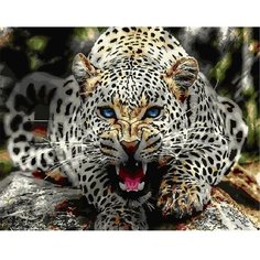 Картина по номерам Оскал Леопарда 40х50 см Hobby Home