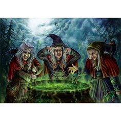 Картина по номерам Шабаш ведьм 40х50 см Hobby Home