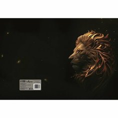 Колледж-тетрадь тв обл А5 160л кл Золотой лев, мат/лам, ВЫБ ЛАК 9618399 Calligrata