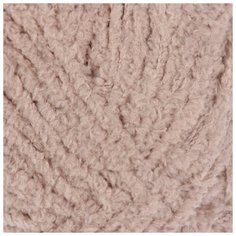 Пряжа "Softy" 100% микрополиэстер 115м/50гр (617 бежевый) Нет бренда