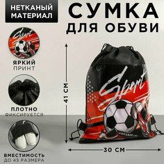 Мешок, сумка для обуви, сменки, сменной Sport, 41х30х0,5 см Art Fox