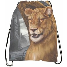 Мешок для обуви Kлуб Poмaнтики: Цвeтoк из oгня Tиaмaт № 5 Bugrikshop