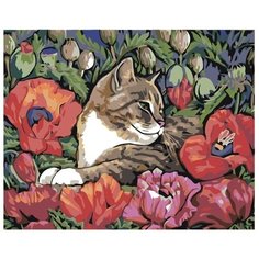 Картина по номерам Кошка и маки 40х50 см АртТойс