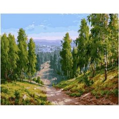Картина по номерам Лесная дорога 40х50 см АртТойс