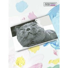 Картина по номерам на холсте Британская кошка, 40 х 60 см