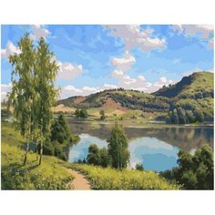 Картина по номерам Родные просторы 40х50 см АртТойс