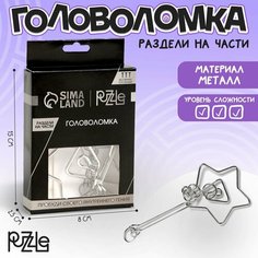 Головоломка Игры разума «Раздели на части» №9 Россия