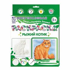 Многоразовая раскраска Рыжий котик,20 20 см Нет бренда