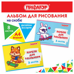 Альбом для рисования А4 8 л, скоба, обложка офсет, пифагор, 203х288 мм, "Скейтер" (2 вида), 106685