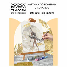 Картина по номерам Три совы "Балерина", 30х40см, с поталью, акриловыми красками и кистями, холст