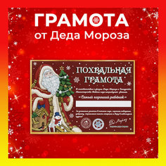 Грамота от Деда Мороза" 29х21 см, красный цвет, для детей 3-7 лет, Magic Time