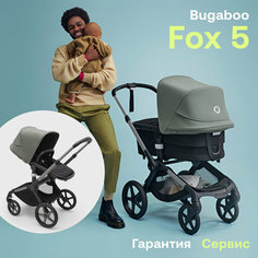 Коляска 2 в 1 Bugaboo Fox 5 Graphite/Midnight Black/Forest Green