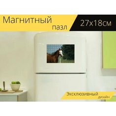 Магнитный пазл "Лошадь, ферма, кобыла" на холодильник 27 x 18 см. Lots Prints