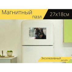 Магнитный пазл "Щенок, немецкая овчарка, вкуснятина" на холодильник 27 x 18 см. Lots Prints