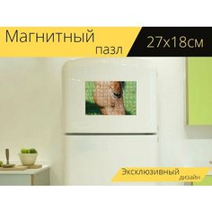 Магнитный пазл "Лошадь, луг, лошади" на холодильник 27 x 18 см. Lots Prints