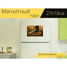 Магнитный пазл "Стул, крупный план, обувь" на холодильник 27 x 18 см. Lots Prints